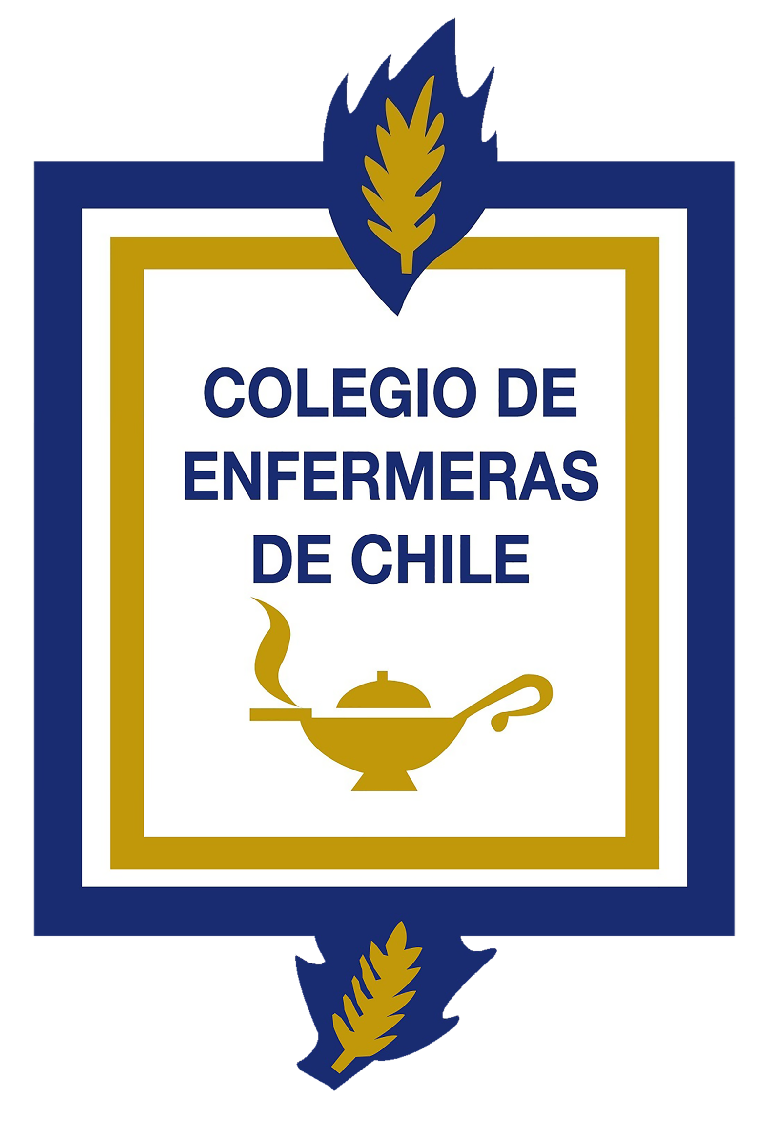 Colegio Enfermeras de Chile